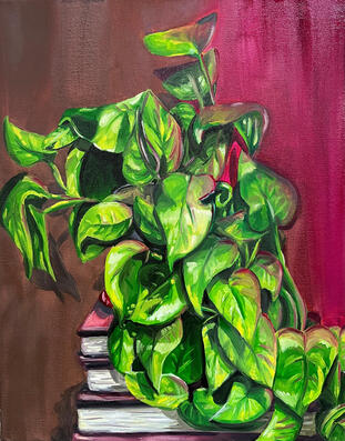 Pothos - Oil